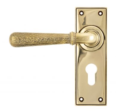 Click Here To Enlarge This Photo Of 46212 From The Anvil Aged Brass Hammered Newbury Lever Euro Set