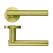 ZPZ090-FSB - Zoo Hardware Stanza 'Lucca' Lever Handles on Round Screw on Rose - Favo Satin Brass &lpar;Designer Range&rpar;