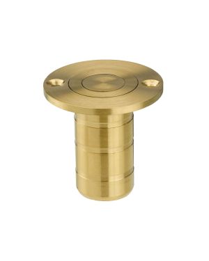 Click Here To Enlarge This Photo Of ZAS14A-PVDSB - Zoo Hardware Dust Socket for Flush Bolts &lpar;Wood&rpar; 20mm dia&period; x 38mm PVD Satin Brass