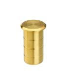 ZAS14-PVDSB - Zoo Hardware Dust Socket for Flush Bolts &lpar;Concrete&rpar; 20mm dia&period; x 25mm PVD Satin Brass