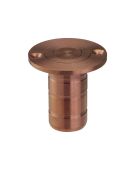 ZAS14A-PVDBZ - Zoo Hardware Dust Socket for Flush Bolts &lpar;Wood&rpar; 20mm dia&period; x 38mm PVD Bronze