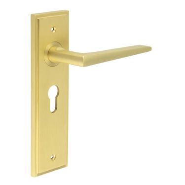 Click Here To Enlarge This Photo Of BUR10KIT245 Frelan Hardware Burlington Mayfair Door Handles on 47&period;5mm Euro Backplate Satin Brass