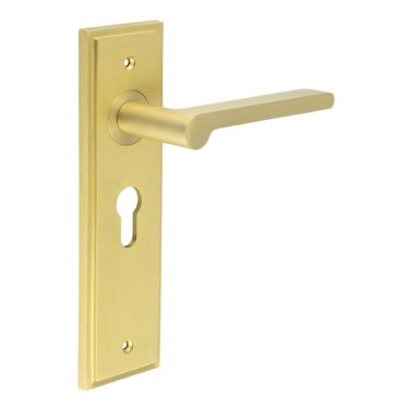 Click Here To Enlarge This Photo Of BUR15KIT245 Frelan Hardware Burlington Fitzrovia Door Handles on 47&period;5mm Euro Backplate Satin Brass
