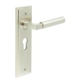 BUR30KIT323 Frelan Hardware Burlington Westminster Door Handles on 47&period;5mm Euro Backplate Satin Nickel