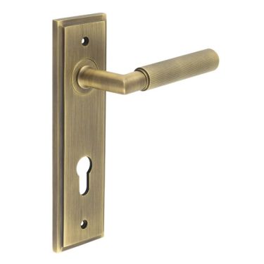 Click Here To Enlarge This Photo Of BUR40KIT12 Frelan Hardware Burlington Piccadilly Door Handles on 72mm Din Euro Backplate Antique Brass