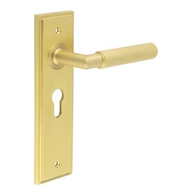 Click Here To Enlarge This Photo Of BUR40KIT245 Frelan Hardware Burlington Piccadilly Door Handles on 47&period;5mm Euro Backplate Satin Brass