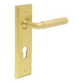 BUR40KIT246 Frelan Hardware Burlington Piccadilly Door Handles on 72mm Din Euro Backplate Satin Brass
