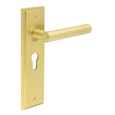 Click Here To Enlarge This Photo Of BUR45KIT245 Frelan Hardware Burlington Richmond Door Handles on 47&period;5mm Euro Backplate Satin Brass