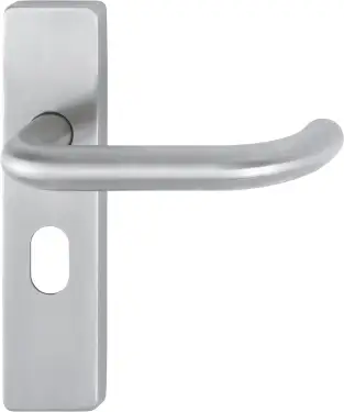 Click Here To Enlarge This Photo Of E138F&sol;202K-A4 &lpar;AR361&sol;14&rpar; Hoppe Oval Profile Levers 48&period;5mm Centres on Plate - Satin Stainless Steel &lpar;87100972&rpar;