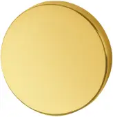 AR461&sol;30 Hoppe Blank Escutcheon - PVD Brass &lpar;87108567&rpar;