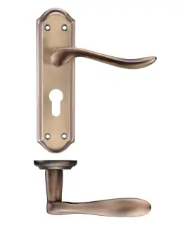 PR071EPFB - Zoo Hardware Project Lincoln Lever on Europrofile Lock Backplate &lpar;180mm x 48mm&rpar; Florentine Bronze