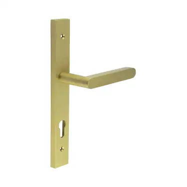 Click Here To Enlarge This Photo Of CR-101G4SB Frelan Hardware CRES 92mm Multi Point Backplate Door Handle &lpar;215mm c&sol;c&rpar; Satin Brass &lpar;SS316&rpar;