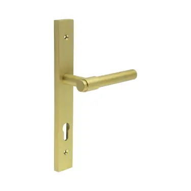 Click Here To Enlarge This Photo Of CR-103G4SB Frelan Hardware CRES 92mm Multi Point Backplate Door Handle &lpar;215mm c&sol;c&rpar; Satin Brass &lpar;SS316&rpar;