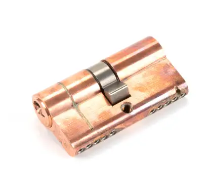 Click Here To Enlarge This Photo Of 45801 From The Anvil Polished Bronze 30&sol;30 5pin Euro Profile Double Cylinder